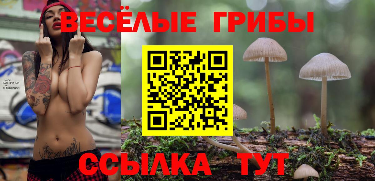 Галлюциногенные грибы мицелий Советская Гавань
