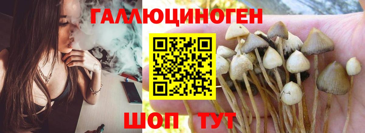 Псилоцибиновые грибы мухоморы  Псилоцибиновые грибы Magic Shrooms  дарнет шоп  Советская Гавань  Вход с VPN 